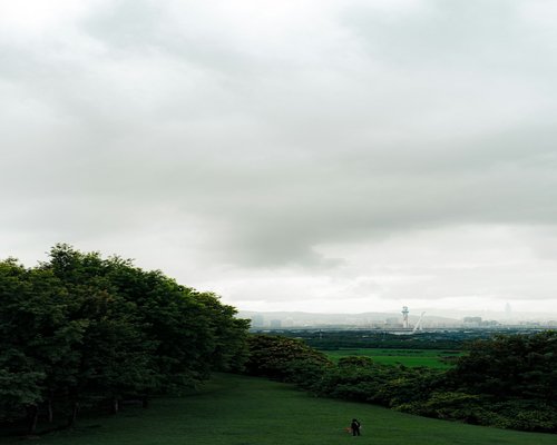 A person taking a relaxing walk in a green urban park during a cloudy day